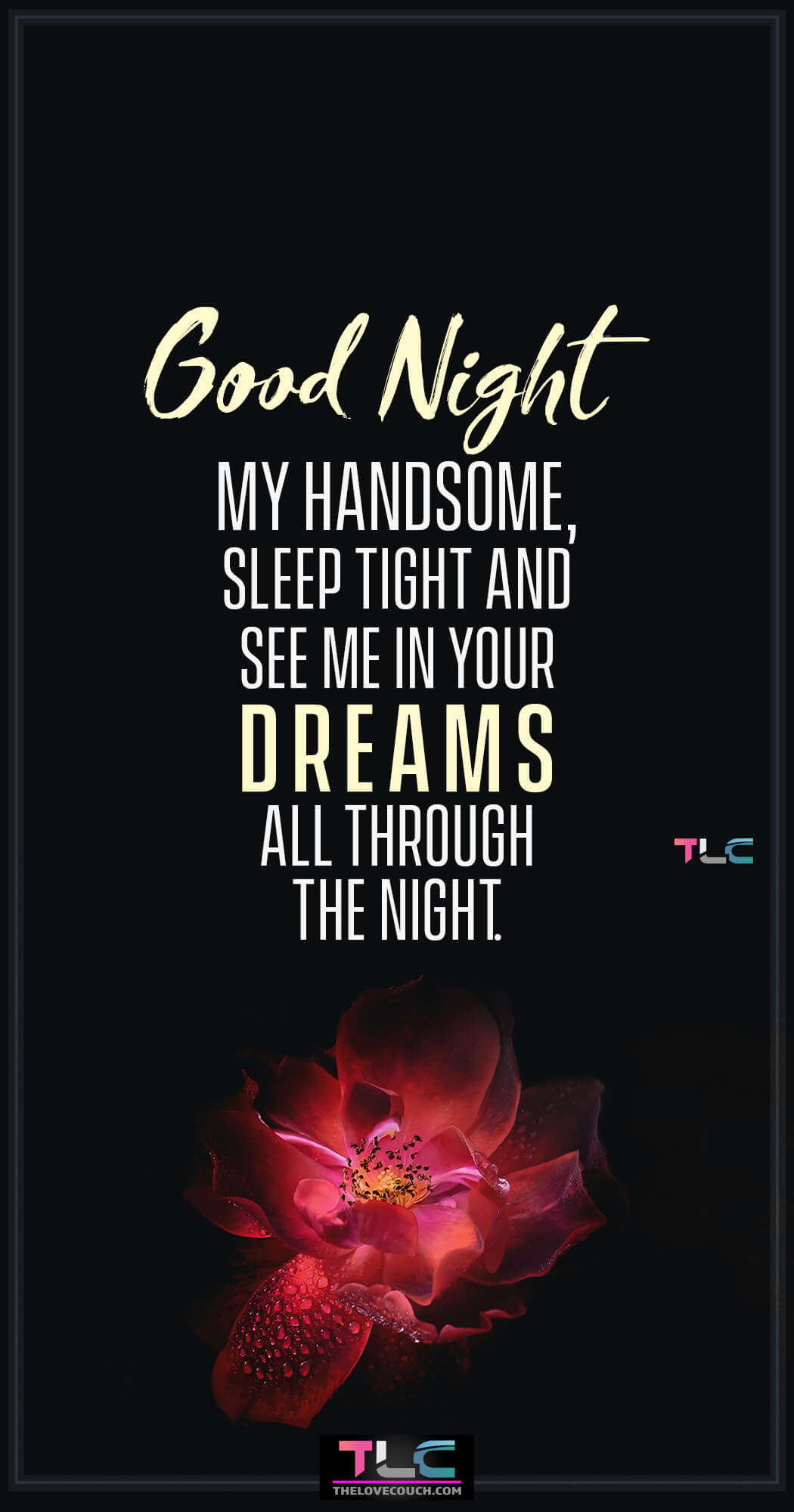 Good Night my handsome, sleep tight and see me in your dreams all through the night. The night is a time to rest and have a peaceful good night's sleep. Send your husband or boyfriend some romantic good night message for him to wish him a rejuvenating good night rest and to let him know that you're thinking of him. Also, find more good night message for him and those sweet romantic good night message for him along with some cute and flirty goodnight texts for him to make him go crazy over you.