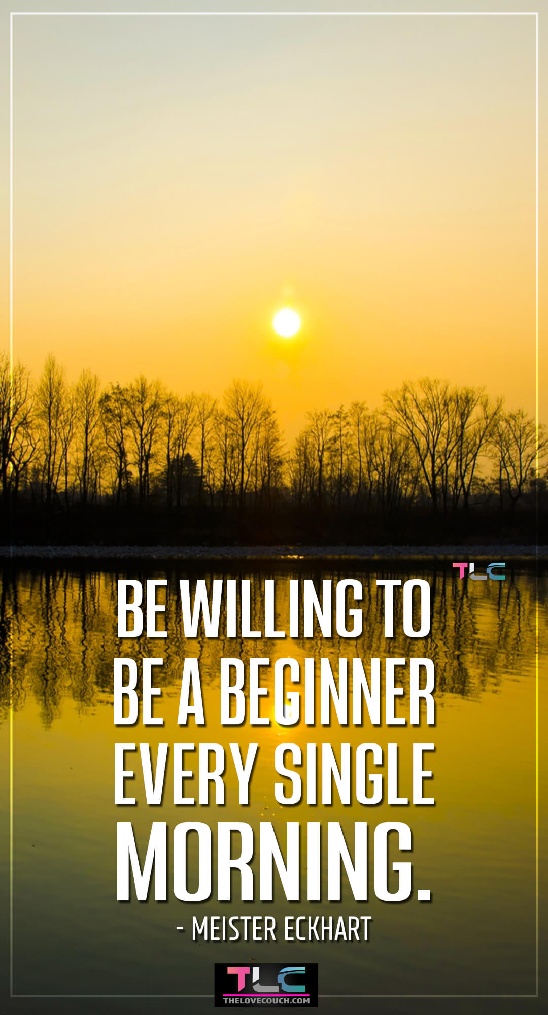 Be willing to be a beginner every single morning. - Meister Eckhart