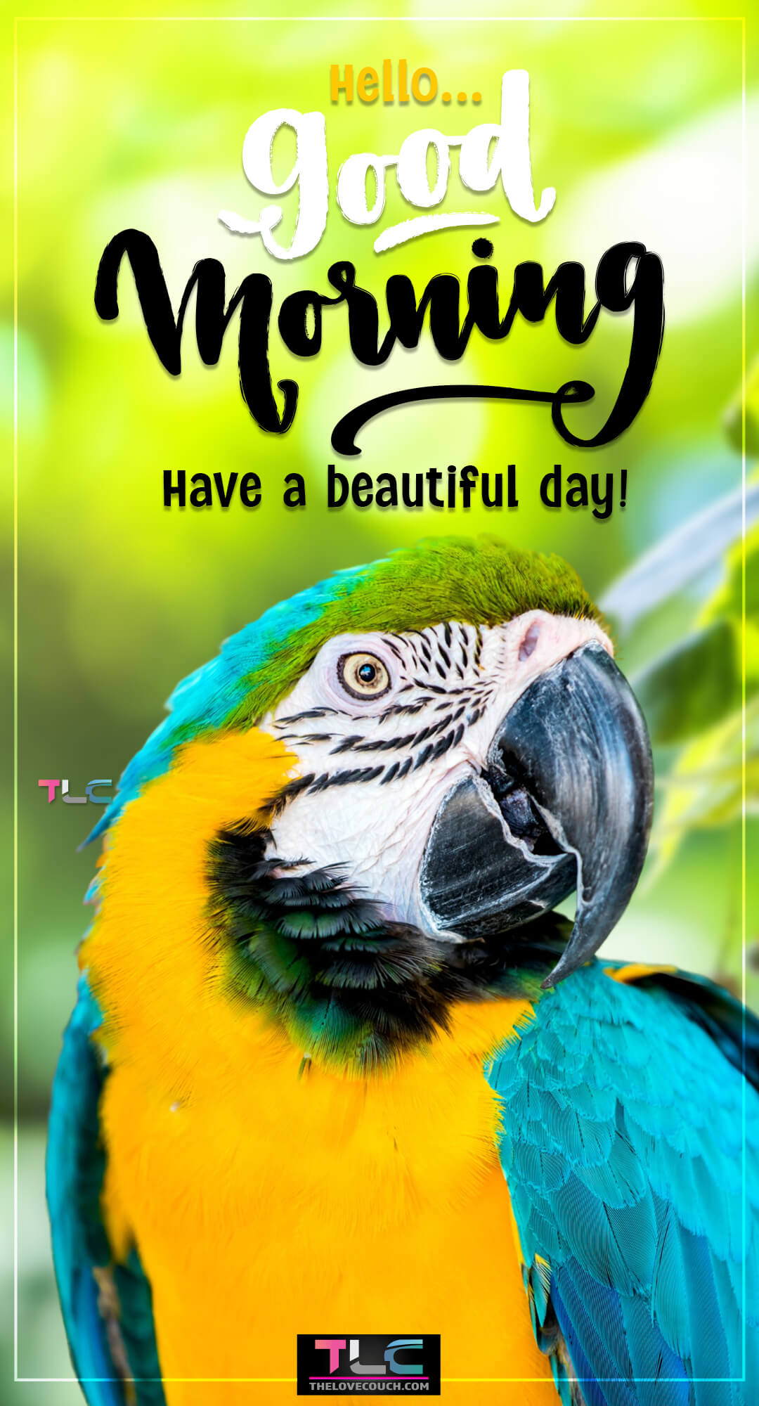Good Morning Images - Beautiful parrot portrait shot - Have a beautiful day