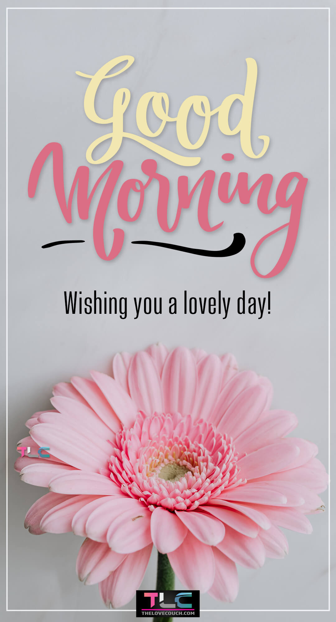 Good Morning Flowers - Beautiful pink flower on a gray background - Wishing you a lovely day Good Morning Flowers - Beautiful pink flower on a gray background - Wishing you a lovely day