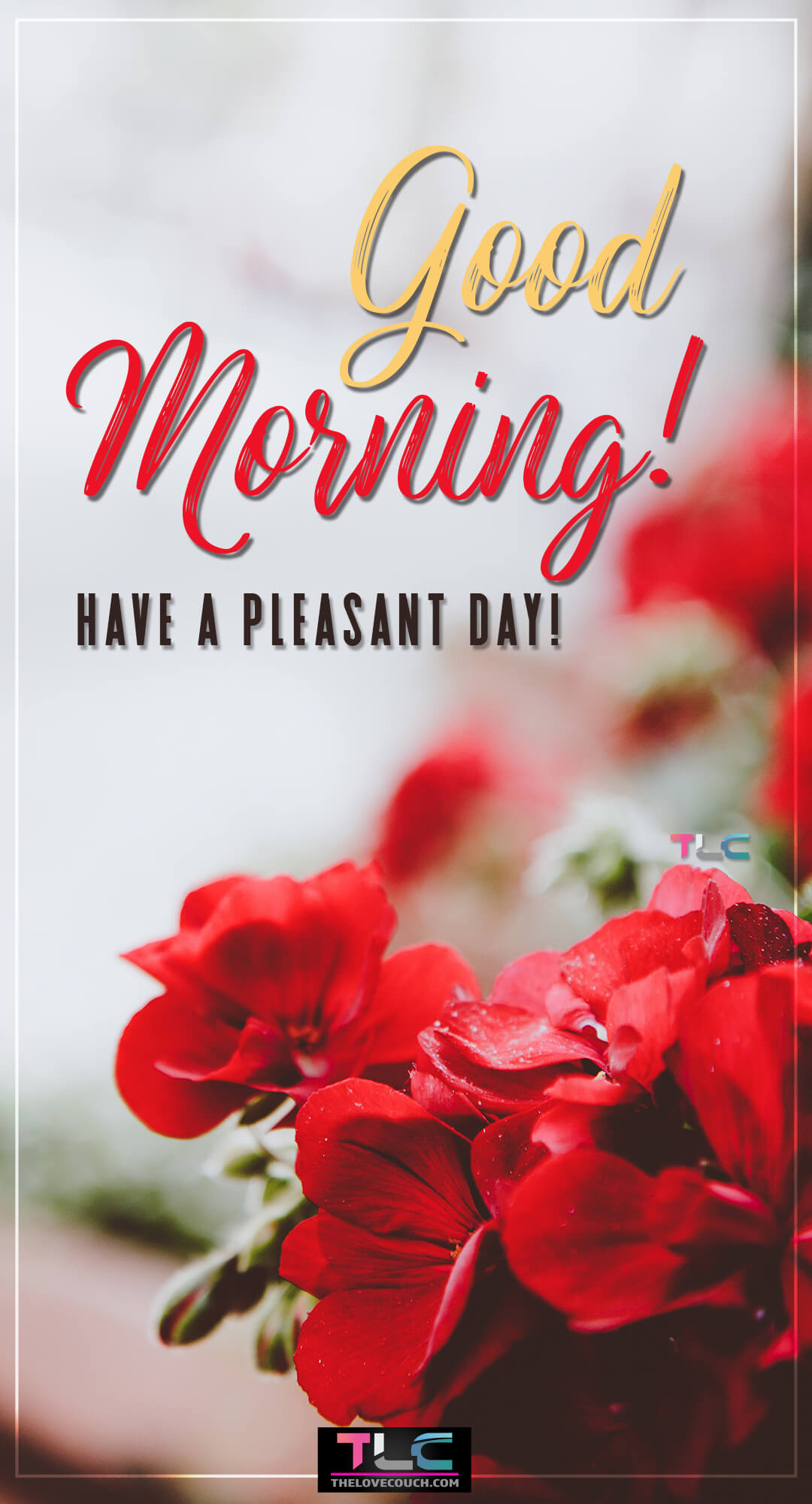 Good Morning Flowers - Beautiful red flowers on a table - Have a pleasant day Good Morning Flowers - Beautiful red flowers on a table - Have a pleasant day