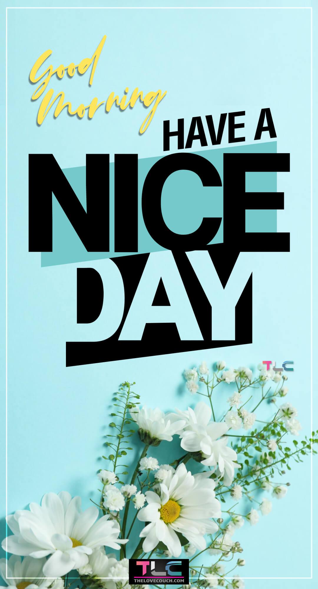 Good Morning Flowers - Beautiful white flowers on a blue background - Have a nice day Good Morning Flowers - Beautiful white flowers on a blue background - Have a nice day