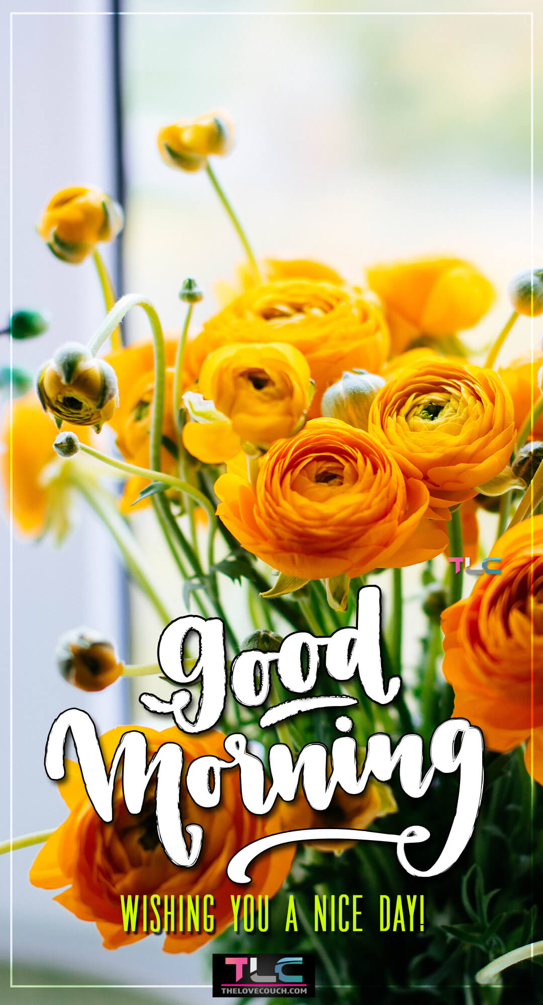 Good Morning Flowers - Yellow orange flowers in bloom - Wishing you a nice day Good Morning Flowers - Yellow orange flowers in bloom - Wishing you a nice day