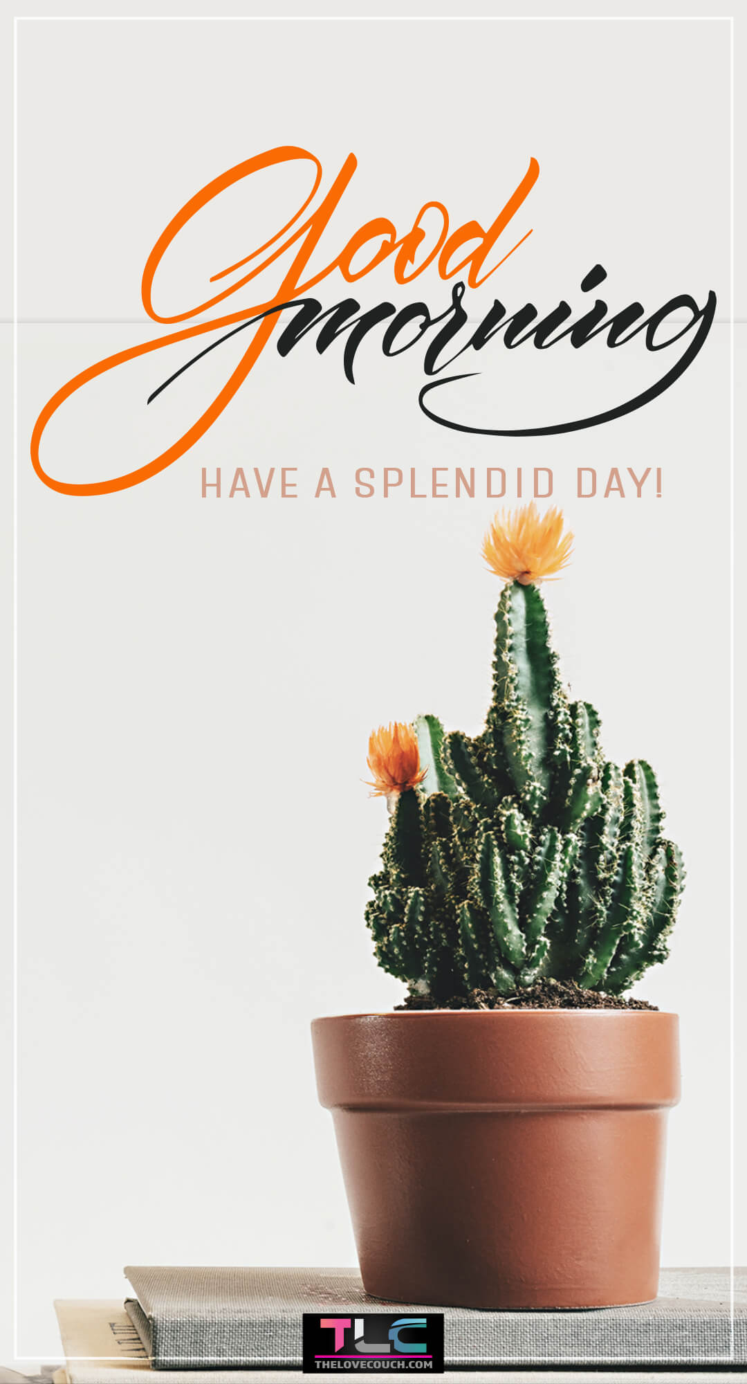 Good Morning Images - Green cactus plant in an earthen pot - Have a splendid day Good Morning Images - Green cactus plant in an earthen pot - Have a splendid day
