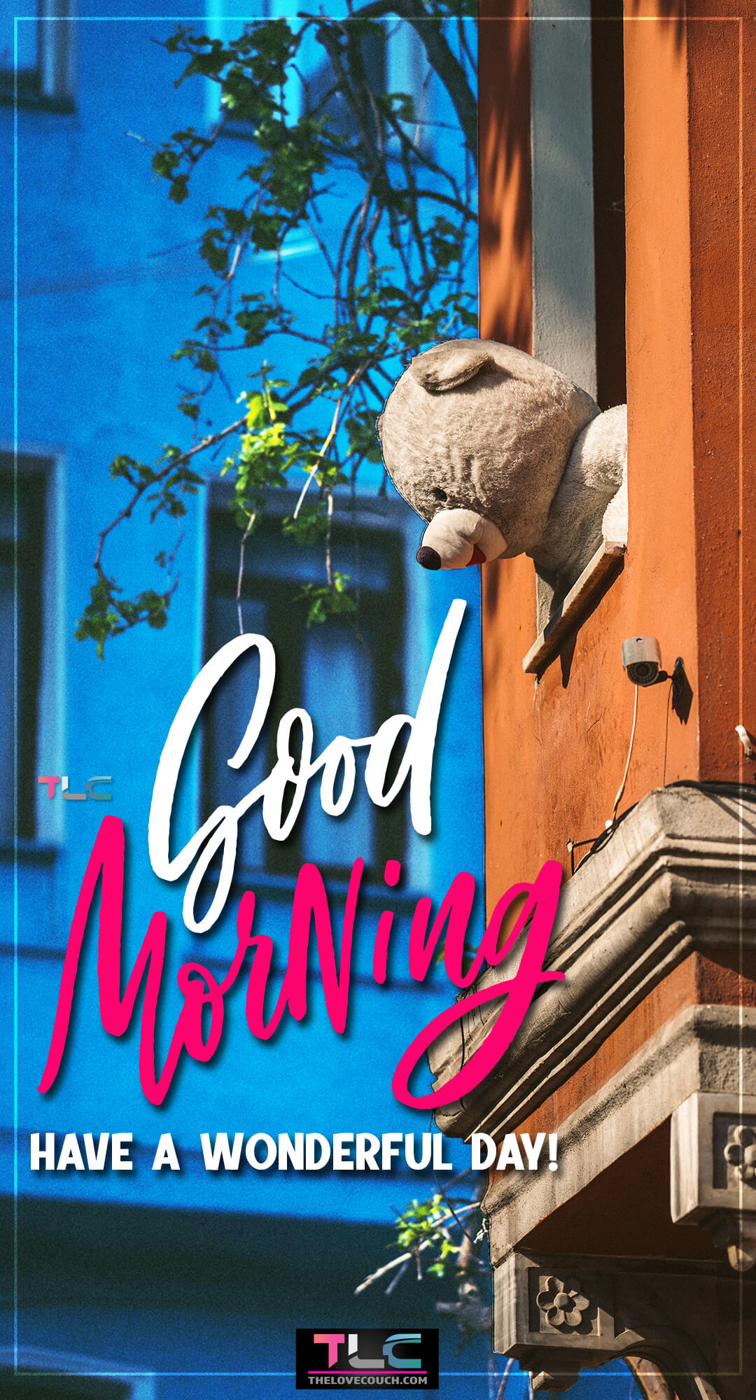 Good Morning Images HD - Teddy bear peeking out of the window - Have a wonderful day