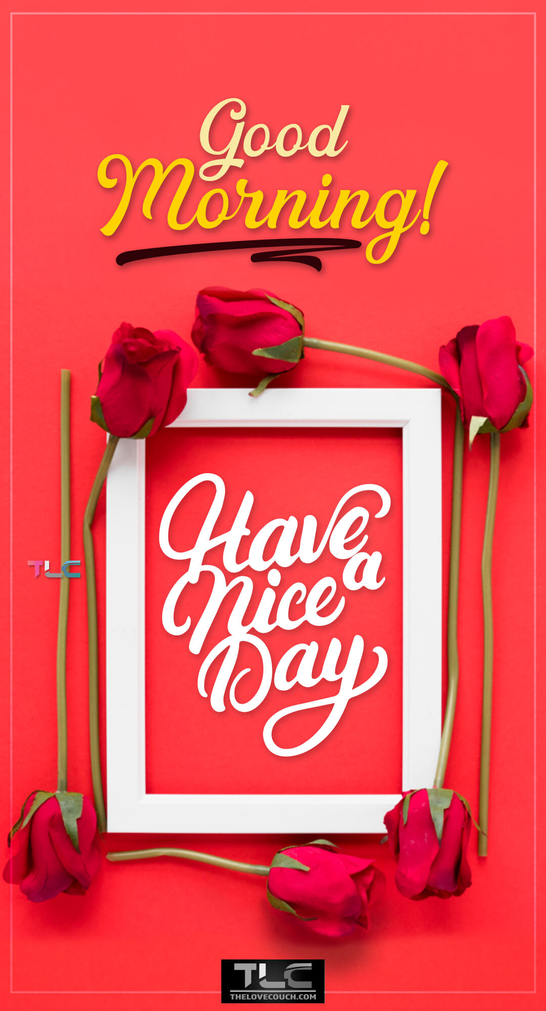 Good Morning Pictures - Red fresh flowers around a picture frame - Have a nice day Good Morning Pictures - Red fresh flowers around a picture frame - Have a nice day