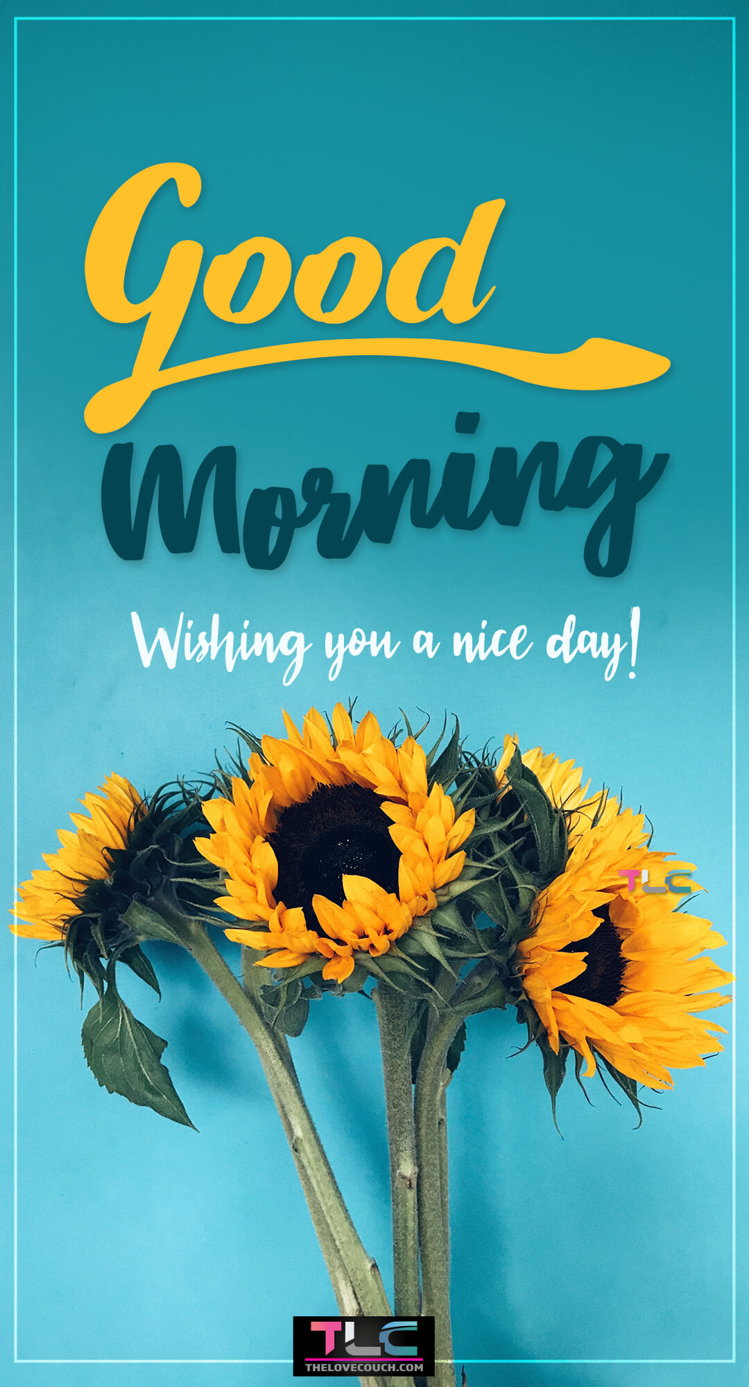 Good Morning Pictures - Sunflowers in bloom on a teal background - Wishing you a nice day