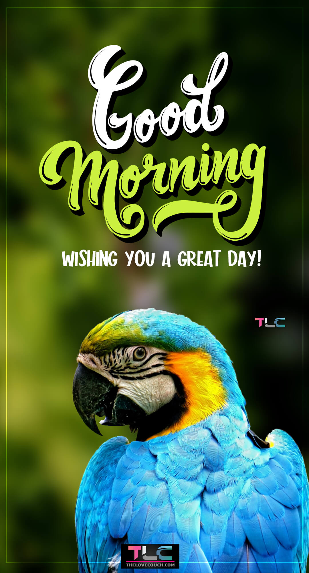 Good Morning Pictures - Lovely parrot on green background - Wishing you a great day