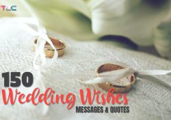 150 Best Wedding Wishes, Messages, and Quotes