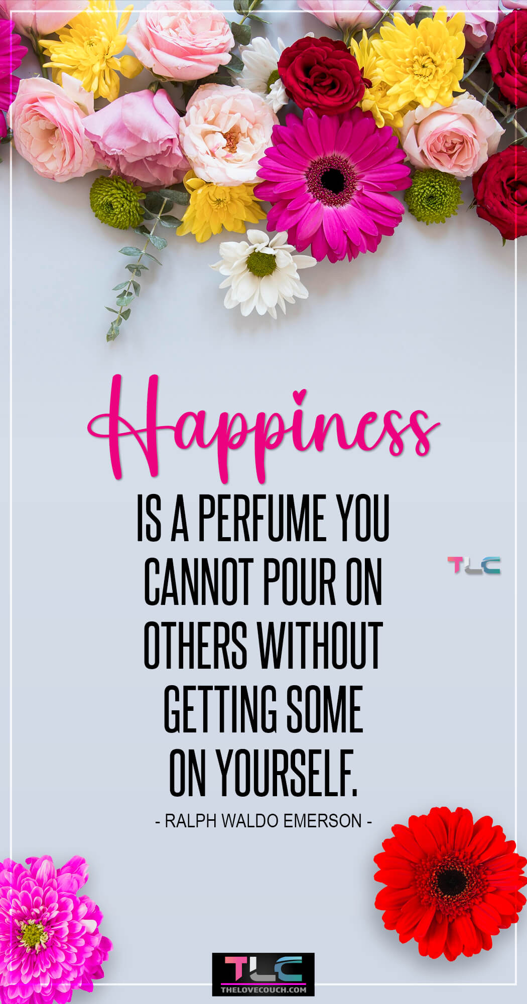Best Happiness Quotes to Brighten Your Day