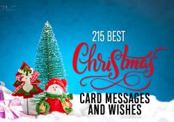 215 Best Christmas Card Messages and Wishes for the Holidays