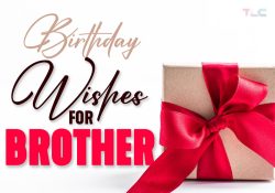 215 Birthday Wishes for Brother