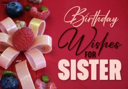 255 Birthday Wishes for Sister