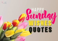 165 Happy Sunday Wishes and Quotes