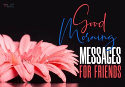 260 Good Morning Messages For Friends