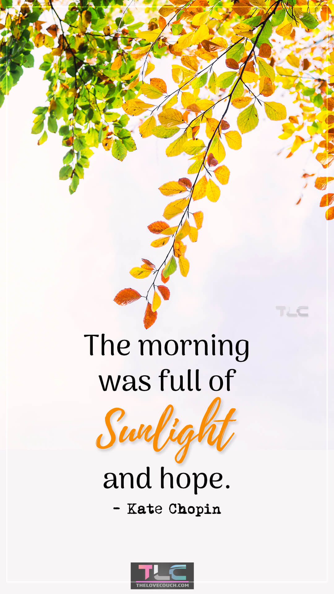 The morning was full of sunlight and hope. - Kate Chopin Quotes to Inspire Dreams & Possibilities