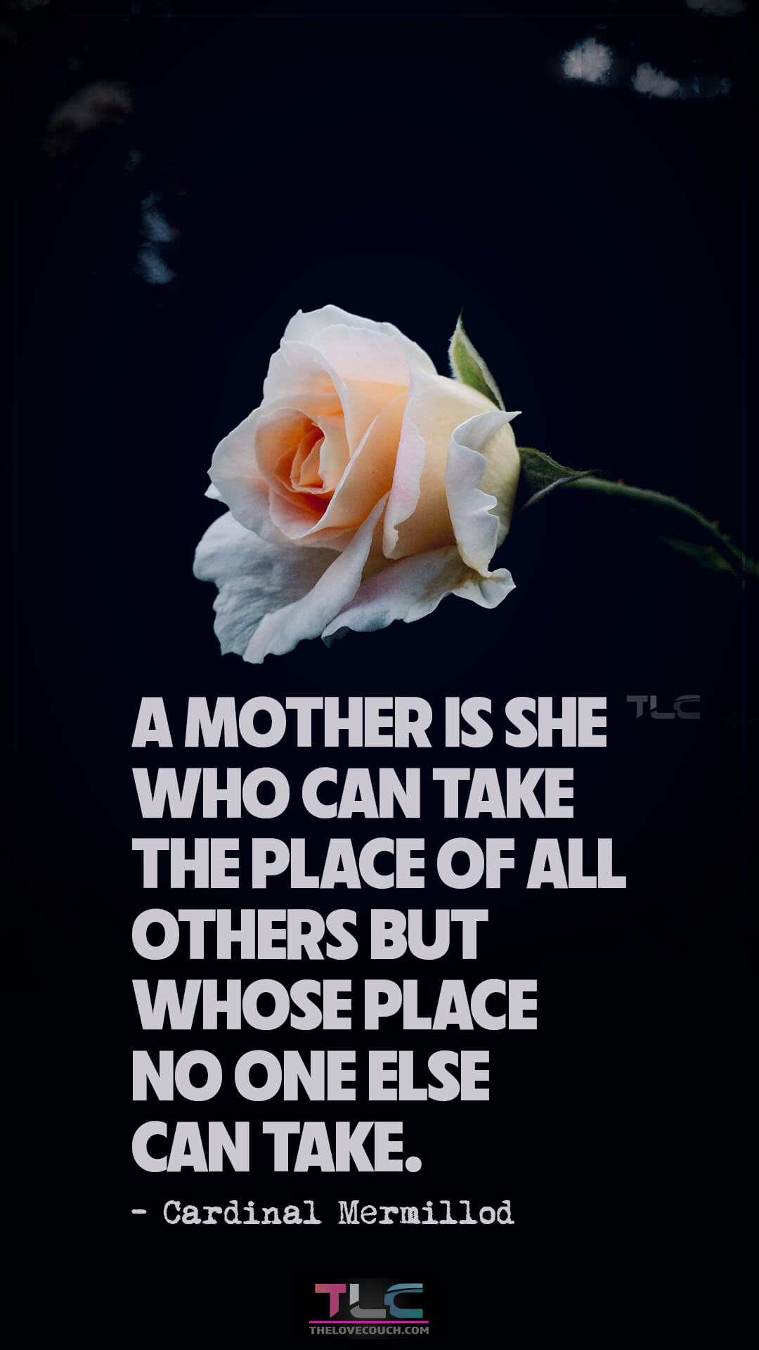 A mother is she who can take the place of all others but whose place no one else can take. - Cardinal Mermillod Inspirational Quotes for Mom