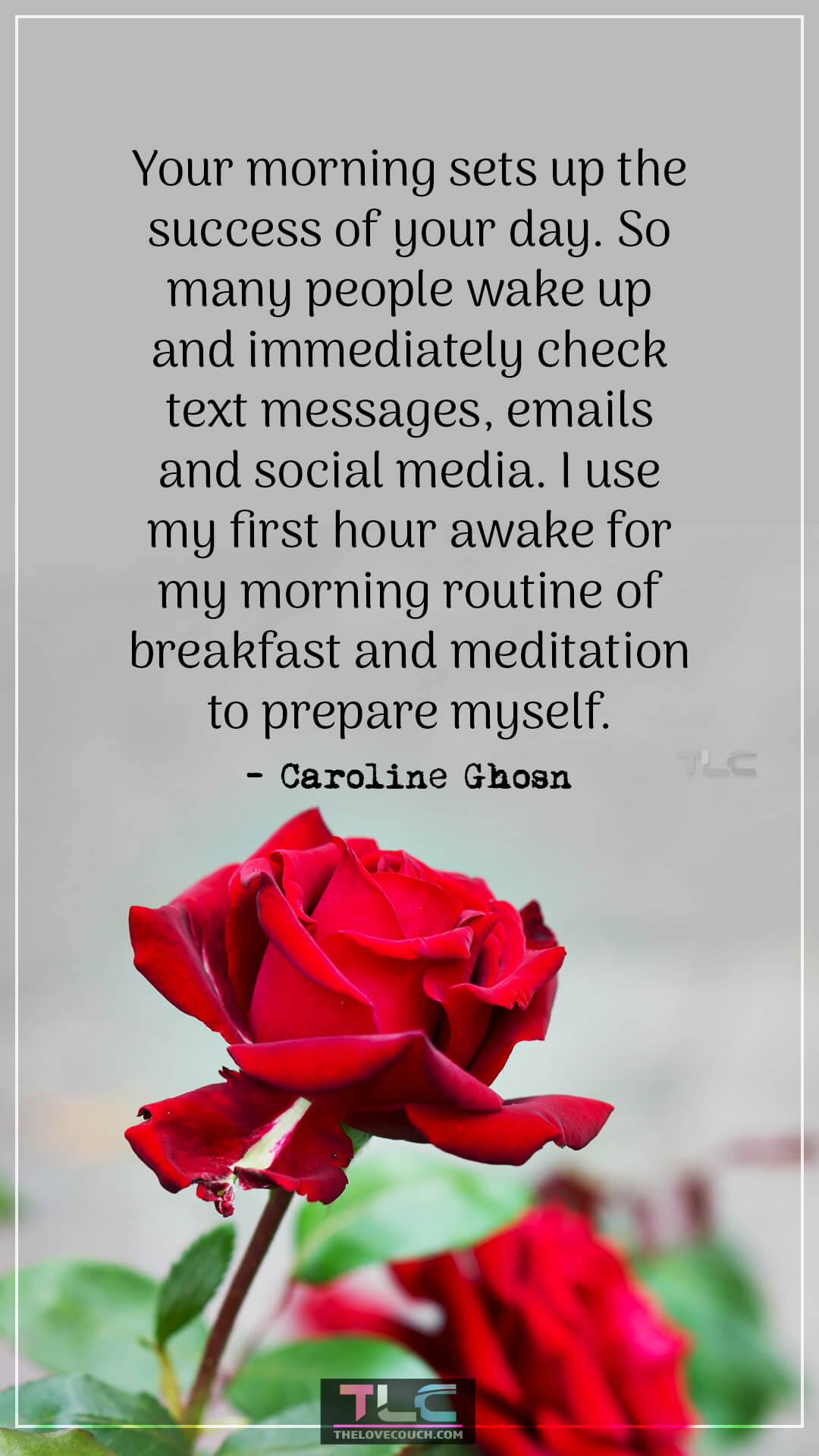 Your morning sets up the success of your day. So many people wake up and immediately check text messages, emails and social media. I use my first hour awake for my morning routine of breakfast and meditation to prepare myself. - Caroline Ghosn Inspiring Good Morning Quotes For Success
